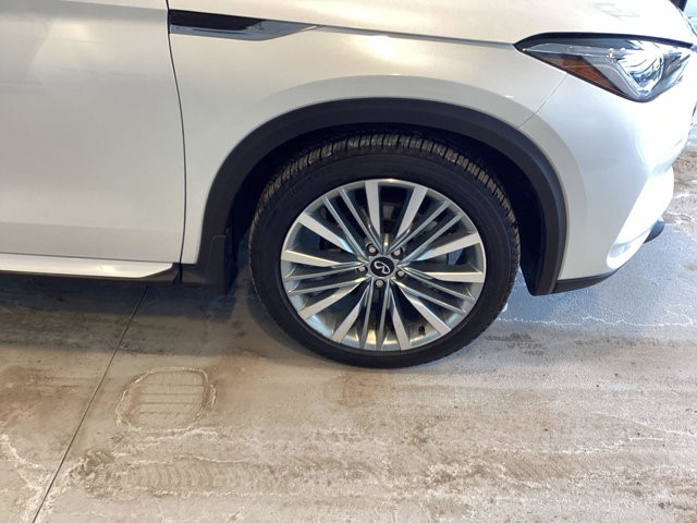2024 Infiniti QX50 Sensory photo 4