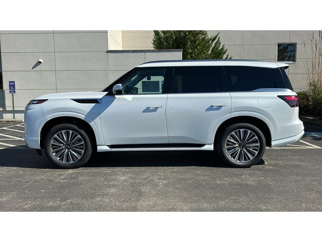 2025 Infiniti QX80 Sensory photo 3