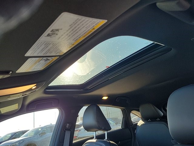 2025 Infiniti QX55 Luxe photo 12