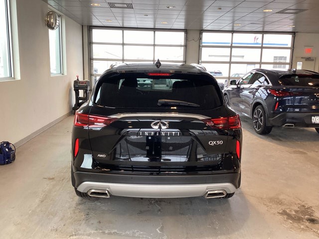 2025 Infiniti QX50 Luxe photo 6