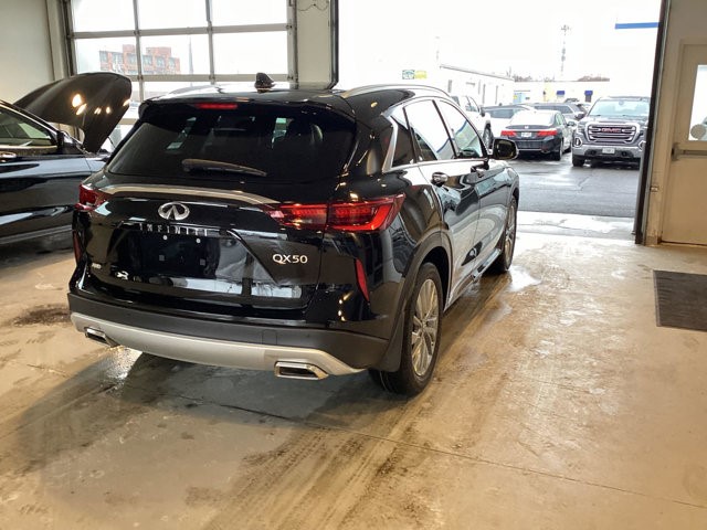 2025 Infiniti QX50 Luxe photo 6