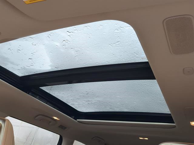 2025 Infiniti QX80 Sensory photo 24