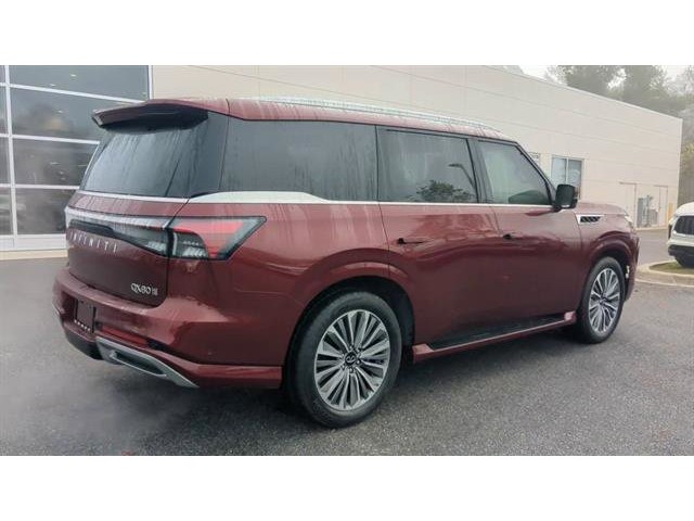 2025 Infiniti QX80 Sensory photo 7