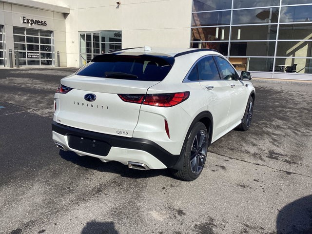2025 Infiniti QX55 Luxe photo 6