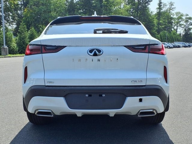 2025 Infiniti QX55 Luxe photo 5