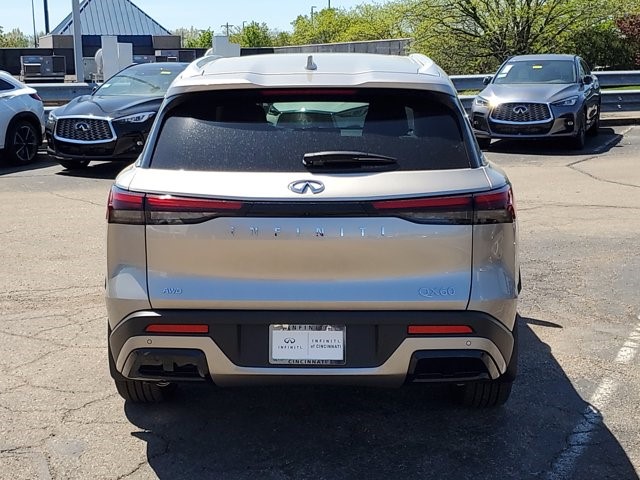 2025 Infiniti QX60 Luxe photo 3