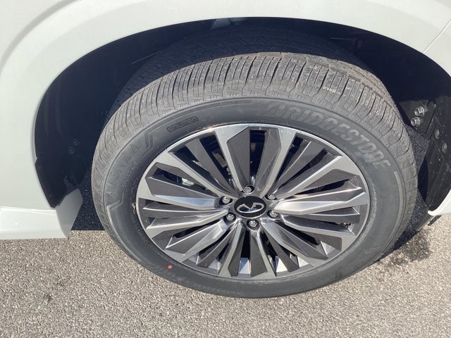 2025 Infiniti QX80 Sensory photo 4