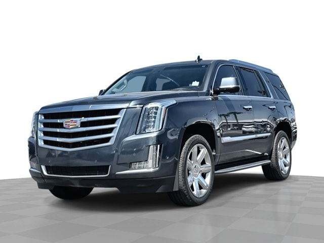 2019 Cadillac Escalade Luxury 4WD 4dr Luxury Gas V8 6.2L/376 [0]