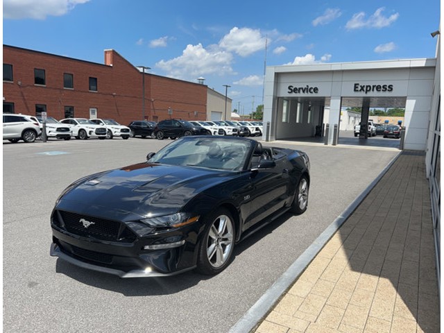 2021 Ford Mustang GT Premium GT Premium Convertible Premium Unleaded V-8 5.0 L/302 [14]