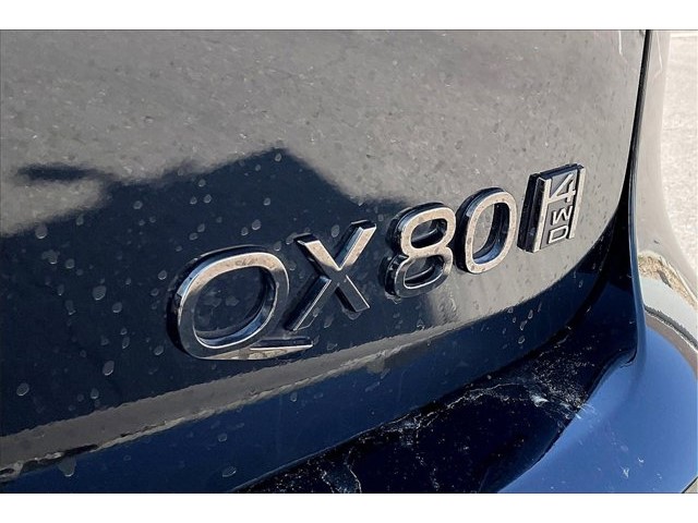 2025 Infiniti QX80 photo 9