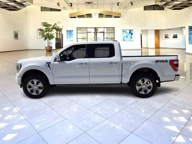 2021 Ford F-150 Platinum photo 2