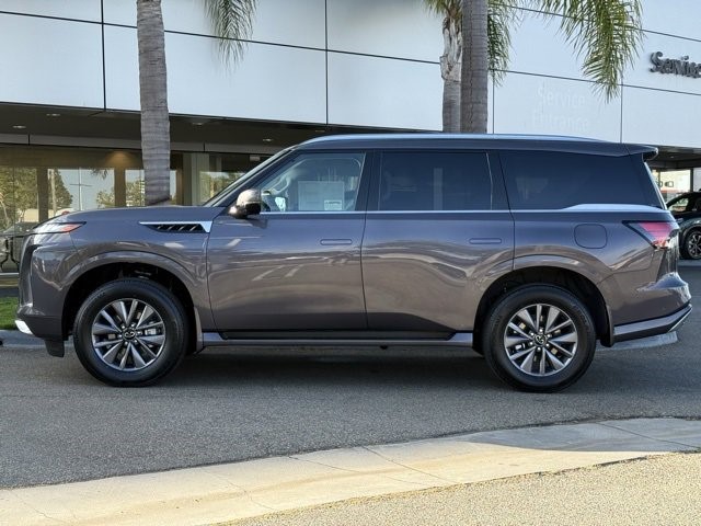 2026 Infiniti QX80 Pure photo 3
