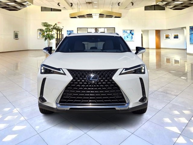 2024 Lexus UX 250h Premium photo 2