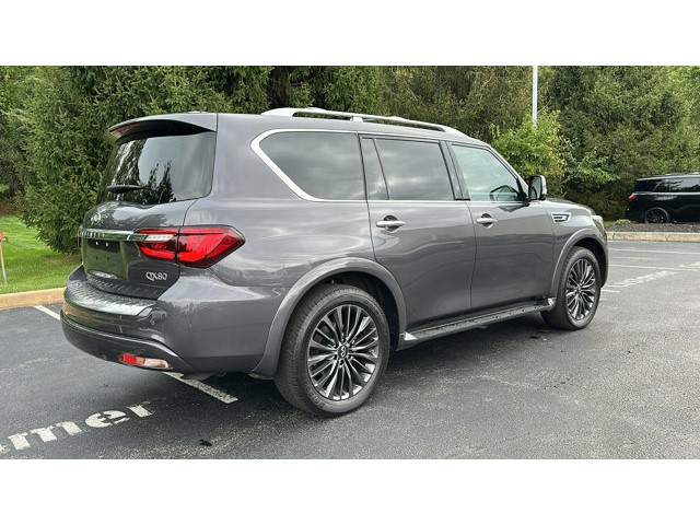 2023 INFINITI QX80 SENSORY SENSORY AWD Premium Unleaded V-8 5.6 L/339 [7]