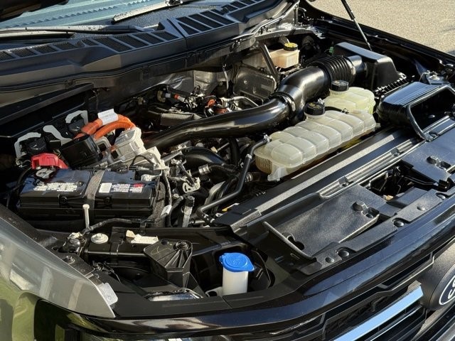 2024 Ford F-150 XLT  PowerBoost Full-Hybrid V6 3.5 L [10]