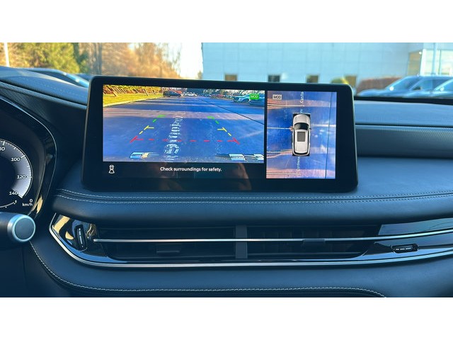 2023 INFINITI QX60 LUXE LUXE AWD Premium Unleaded V-6 3.5 L/213 [18]