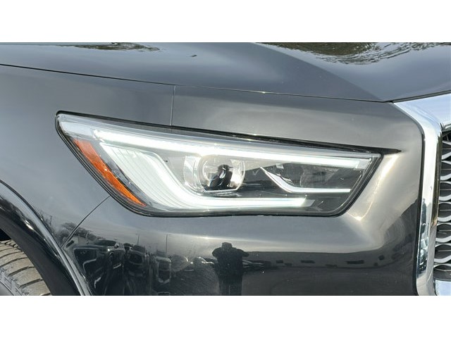 2024 INFINITI QX80 LUXE LUXE AWD Premium Unleaded V-8 5.6 L/339 [3]