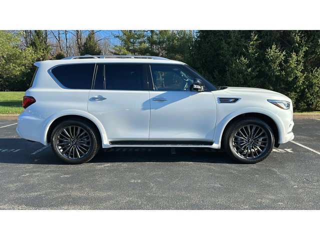 2024 INFINITI QX80 SENSORY SENSORY AWD Premium Unleaded V-8 5.6 L/339 [29]