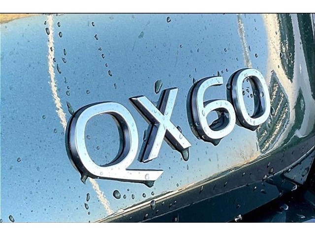 2026 INFINITI QX60 LUXE - Photo 9