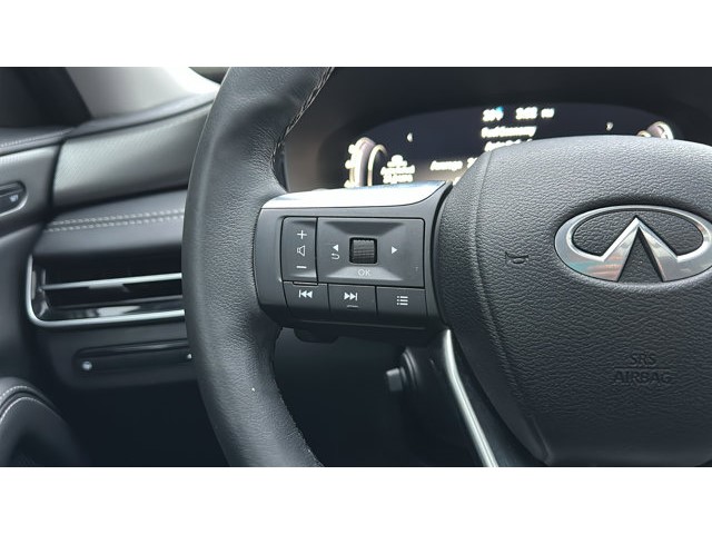 2022 INFINITI QX60 LUXE LUXE AWD Premium Unleaded V-6 3.5 L/213 [14]